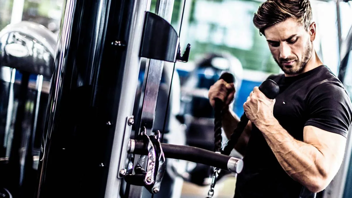 PERFROMANCE PRO 3M MUSCULACION